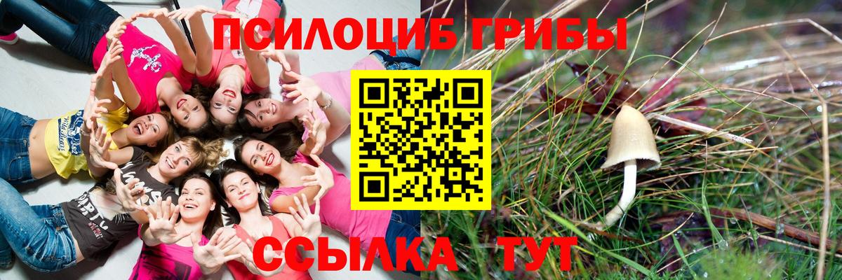 Узловая  Галлюциногенные грибы Psilocybine cubensis  Псилоцибиновые грибы Cubensis  Вход с VPN 